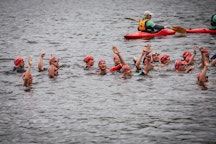 World Triathlon Hamburg 2024 | Age Group Race