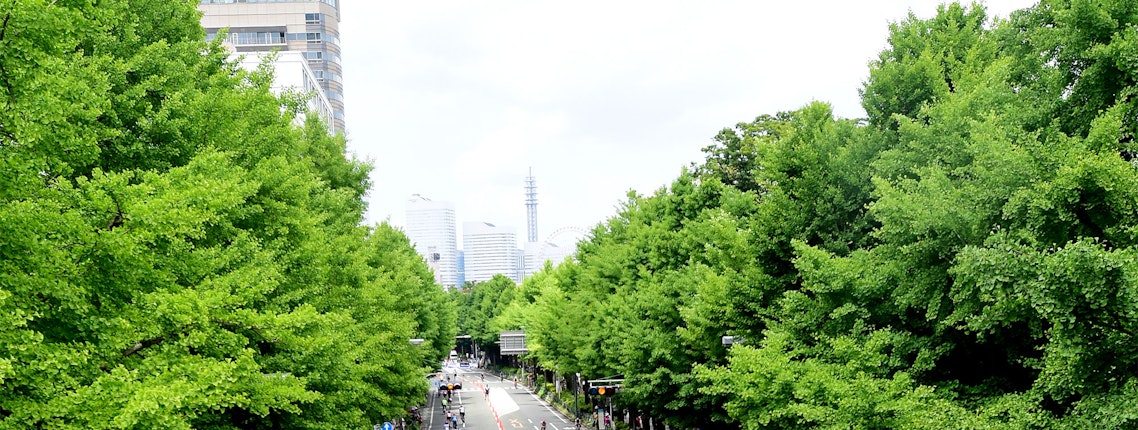 2020 ITU World Triathlon and Paratriathlon Series Yokohama about the sending of souvenirs